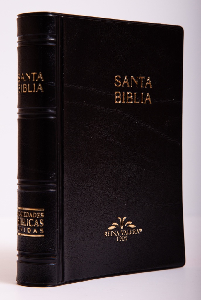 Biblia Bolsillo Vinil Negro RVR09