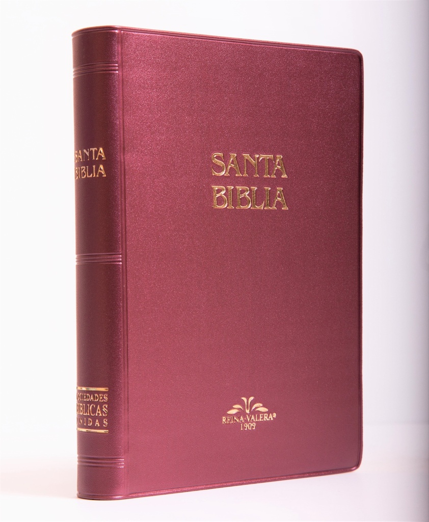 [SBM0027] Biblia Mediana Vinil Vino Vro52 RVR09