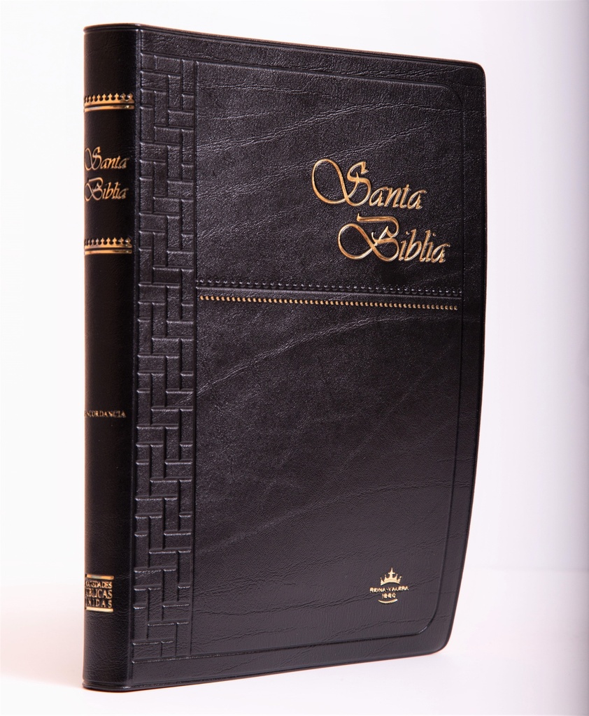 Biblia Mediana Vinil Negro Concordancia