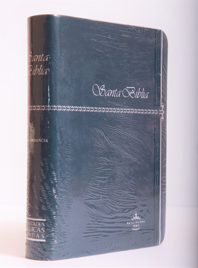 Biblia Chica Imitación Letra Grande, Gris, Verde