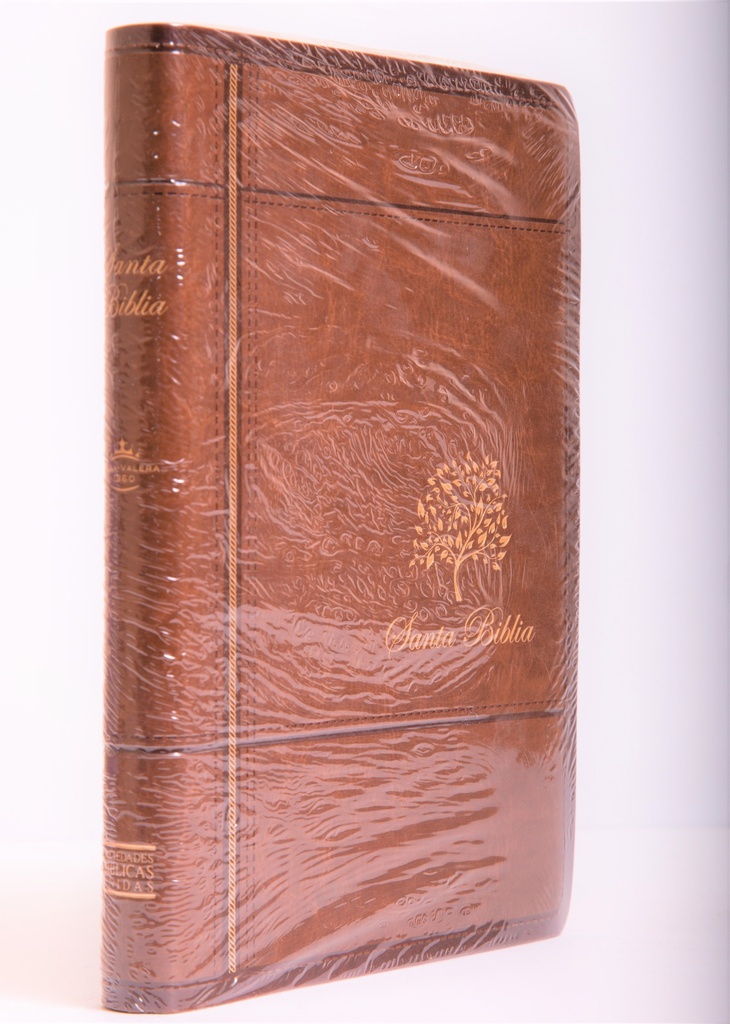 Biblia Mediana Imitación Café