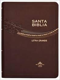 Biblia Vino Oscuro letra grande
