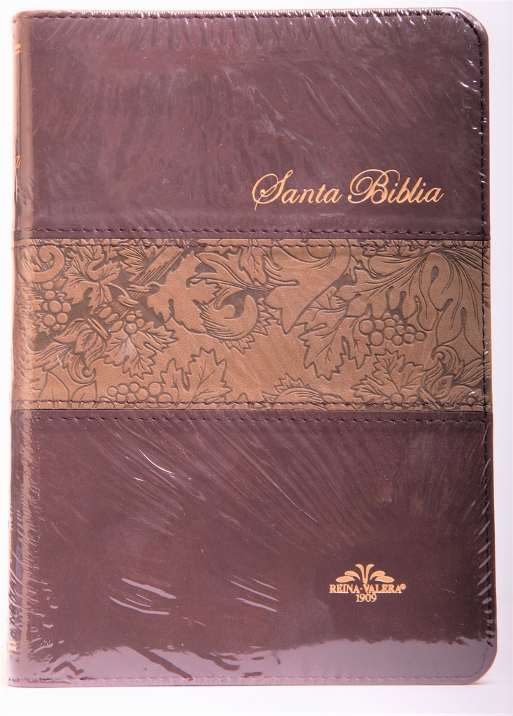 Biblia mediana café imitación piel con indice