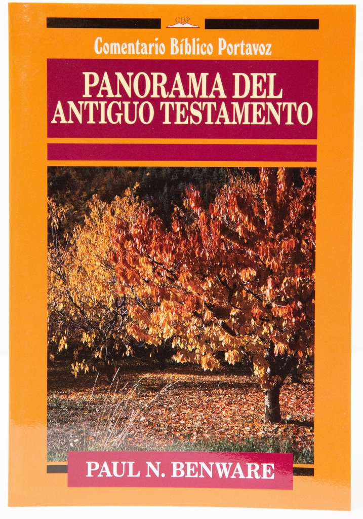 [EPO1060] Panorama del Antiguo Testamento - Rustico